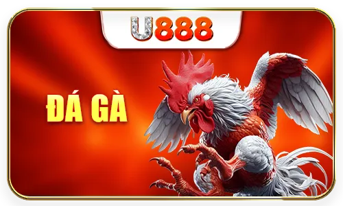 đá gà u888 icon