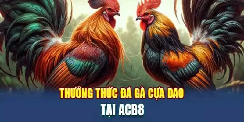 Khám phá về đá gà cựa dao tại nhà cái cá cược uy tín U888