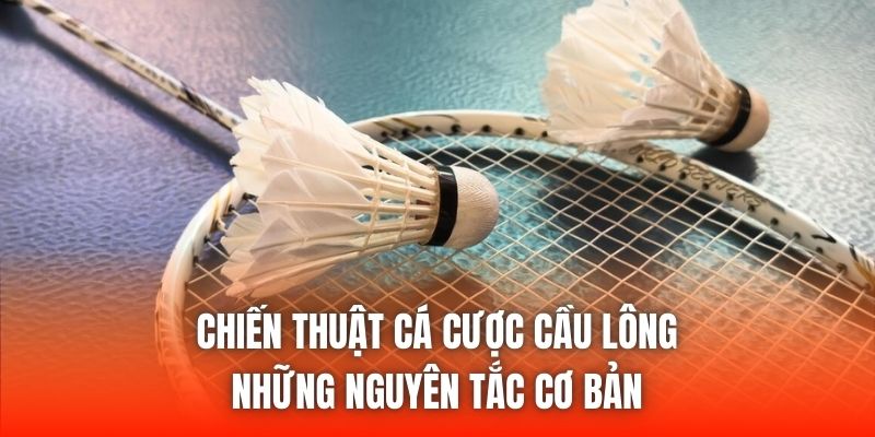 chien thuat ca cuoc cau long